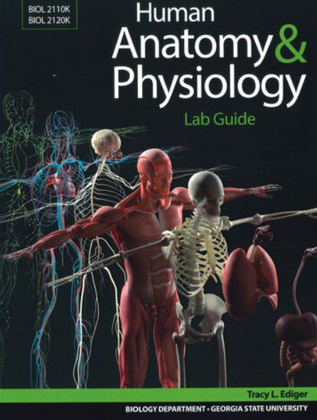 Download Human Anatomy & Physiology Lab Guide PDF Free