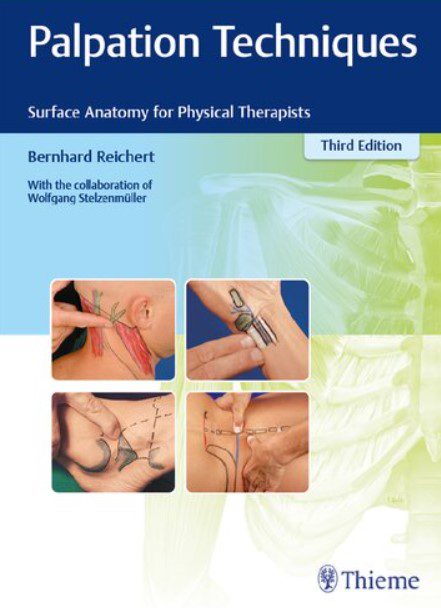 Download Palpation Techniques: Surface Anatomy for Physical Therapists 3rd Edition PDF Free