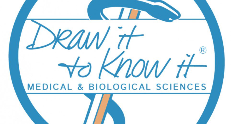 Draw it to Know it : Medical School By System (2019) Videos Free Download