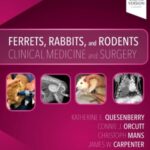 Ferrets, Rabbits, and Rodents: Clinical Medicine and Surgery 4th Edition PDF Free Download