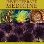 Invertebrate Medicine 2nd Edition PDF Free Download
