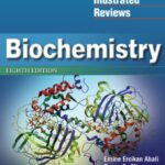Lippincott Illustrated Reviews: Biochemistry 8th Edition PDF Free Download