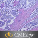 Masters of Pathology : Pancreatic Pathology (2018) Videos Free Download