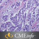 Masters of Pathology : Soft Tissue Tumors (2018) Videos Free Download