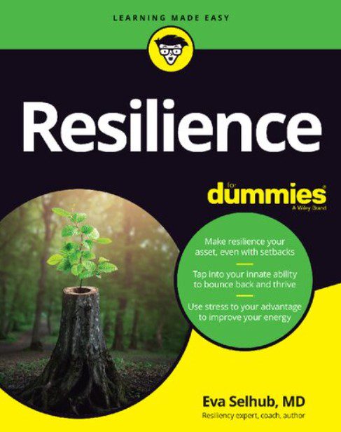 Resilience For Dummies PDF Free Download