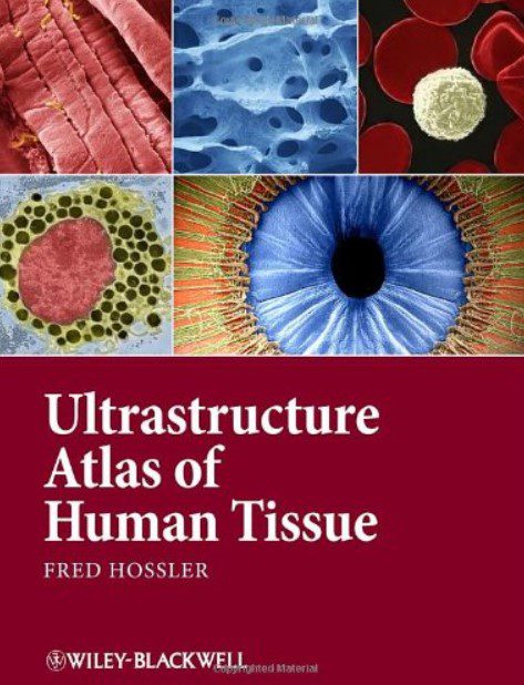 Ultrastructure Atlas of Human Tissues PDF Free Download