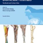Veterinary Anatomy of Domestic Animals 7th Edition PDF Free Download