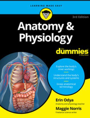 Anatomy and Physiology For Dummies 3rd Edition PDF Free Download