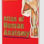 Atlas of Human Anatomy by Inderbir Singh PDF Free Download