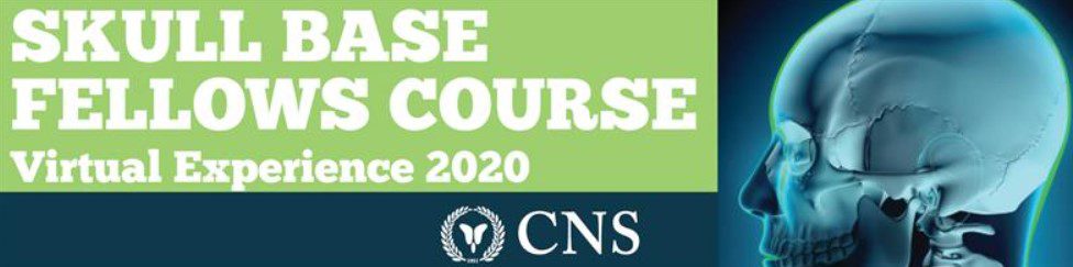 CNS Skull Base Fellows Course – Virtual Experience 2020 Videos Free Download