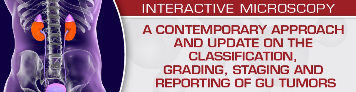 Download A Contemporary Approach and Update on the Classification, Grading, Staging and Reporting of GU Tumors Videos Free