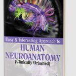 Download Easy & Interesting Approach to Human Neuroanatomy (Clinically Oriented) PDF Free