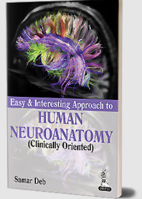 Download Easy & Interesting Approach to Human Neuroanatomy (Clinically Oriented) PDF Free