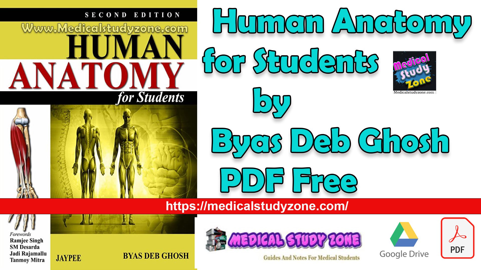 Download Human Anatomy for Students by Byas Deb Ghosh PDF Free