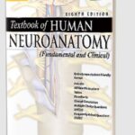 Download Textbook of Human Neuroanatomy by Inderbir Singh PDF Free