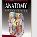 Essentials of Anatomy 2nd Edition PDF Free Download