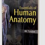 Essentials of Human Anatomy by BK Tandon PDF Free Download