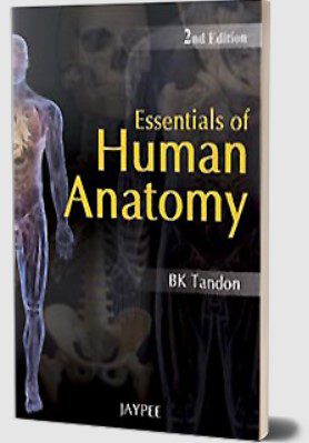 Essentials of Human Anatomy by BK Tandon PDF Free Download