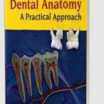 Textbook of Dental Anatomy: A Practical Approach PDF Free Download