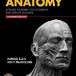 Download Clinical Anatomy: Applied Anatomy for Students and Junior Doctors 14th Edition PDF Free
