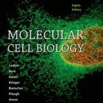 Molecular Cell Biology 8th Edition PDF Free Download