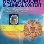 Neuroanatomy Atlas in Clinical Context 10th Edition PDF Free Download