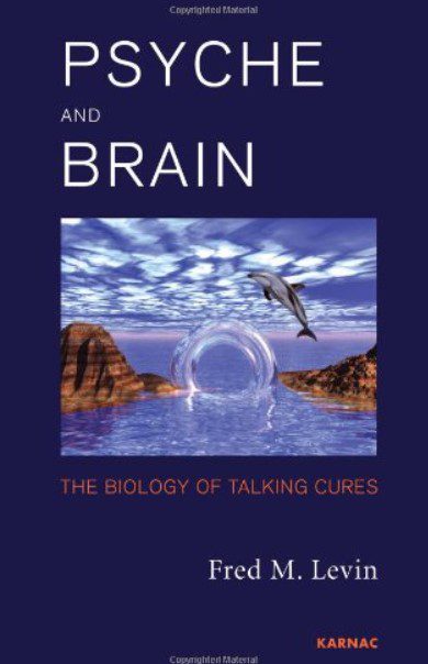 Psyche and Brain: The Biology of Talking Cures 2nd Edition PDF Free Download