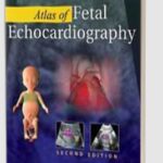 Atlas of Fetal Echocardiography by Manish R Pandya PDF Free Download