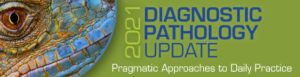 Download 2021 Diagnostic Pathology Update: Pragmatic Approaches to Daily Practice Videos Free