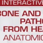 Download Bone and Soft Tissue Pathology from Head to Toe: An Anatomical Approach 2022 Videos Free