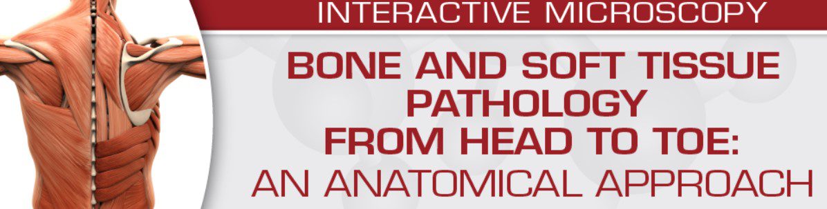 Download Bone and Soft Tissue Pathology from Head to Toe: An Anatomical Approach 2022 Videos Free