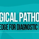 Download USCAP Gynecological Pathology: Essential Knowledge for Diagnostic Practice 2022 Videos Free