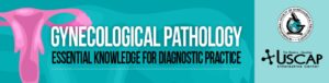 Download USCAP Gynecological Pathology: Essential Knowledge for Diagnostic Practice 2022 Videos Free