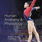 Human Anatomy & Physiology 11th Edition PDF Free Download