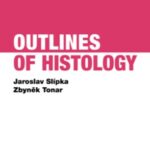 Outlines of Histology PDF Free Download