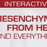 Download Mesenchymal Tumors: From Head to Toe (and Everything in Between) 2022 Videos Free
