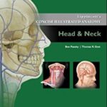Lippincott's Concise Illustrated Anatomy: Head & Neck 3rd Edition PDF Free Download