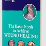 The Basic Needs to Achieve Wound Healing by Raj Mani PDF Free Download
