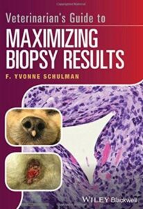 Veterinarian's Guide to Maximizing Biopsy Results PDF Free Download