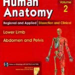 BD Chaurasia's Human Anatomy Vol 2 Lower Limb, Abdomen and Pelvis PDF Free Download