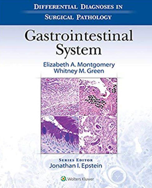 Differential Diagnoses in Surgical Pathology: Gastrointestinal System PDF Free Download