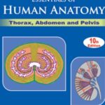 Download AK Datta Essentials of Human Anatomy Vol 1 Thorax, Abdomen, and Pelvis PDF Free