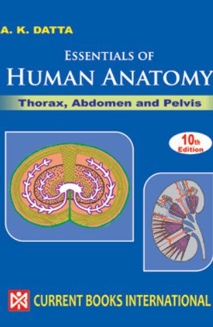 Download AK Datta Essentials of Human Anatomy Vol 1 Thorax, Abdomen, and Pelvis PDF Free