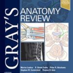 Gray's Anatomy Review 3rd Edition PDF Free Download