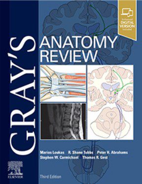 Gray's Anatomy Review 3rd Edition PDF Free Download