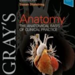 Gray's Anatomy The Anatomical Basis of Clinical Practice 42nd Edition PDF Free Download