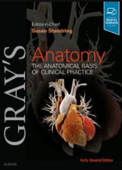 Gray's Anatomy The Anatomical Basis of Clinical Practice 42nd Edition PDF Free Download