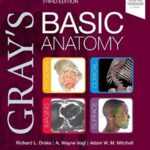 Gray's Basic Anatomy 3rd Edition PDF Free Download