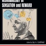 Neurobiology of Sensation and Reward PDF Free Download