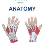 PLABABLE Gems Anatomy PDF Free Download